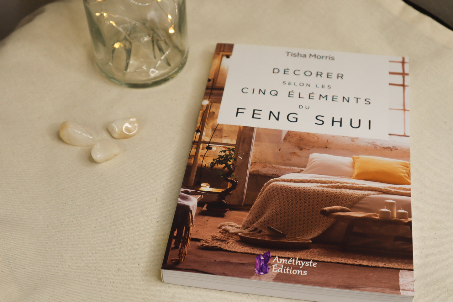 DECORER SELON LES CINQ ELEMENTS DU FENG SHUI - Tisha Morris