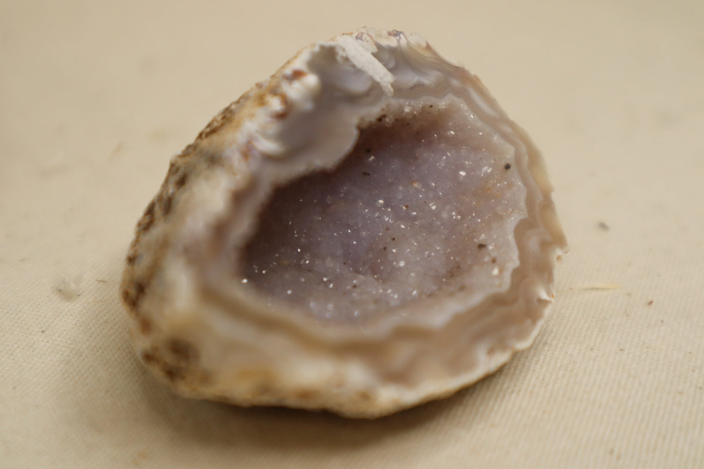 PETITE GEODE